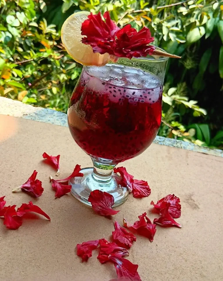 Tropical Shoe Flower Drink – Refreshing Homemade Beverage featured image