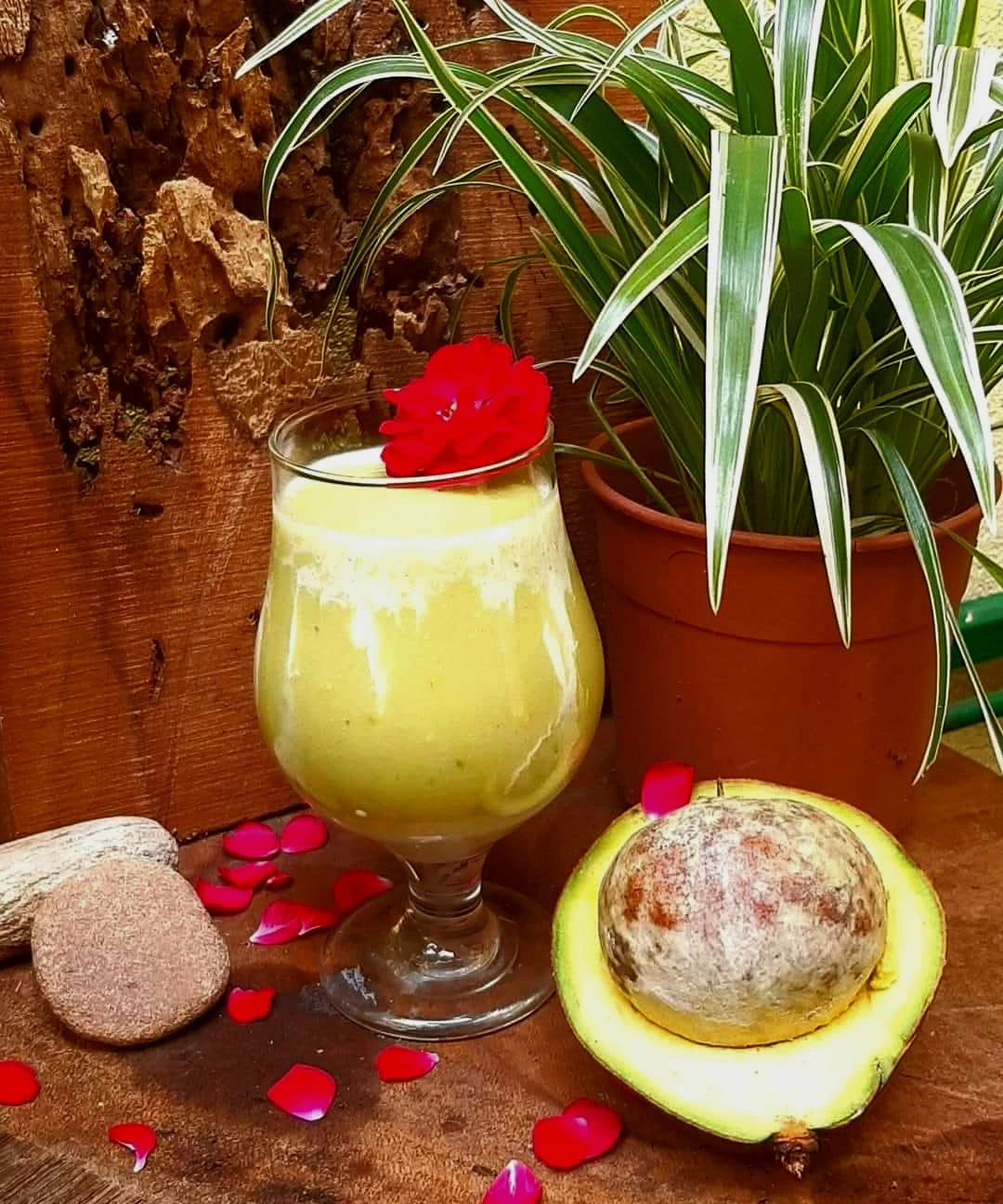 Creamy Avocado Smoothie – A Glass Full of Goodness featured image